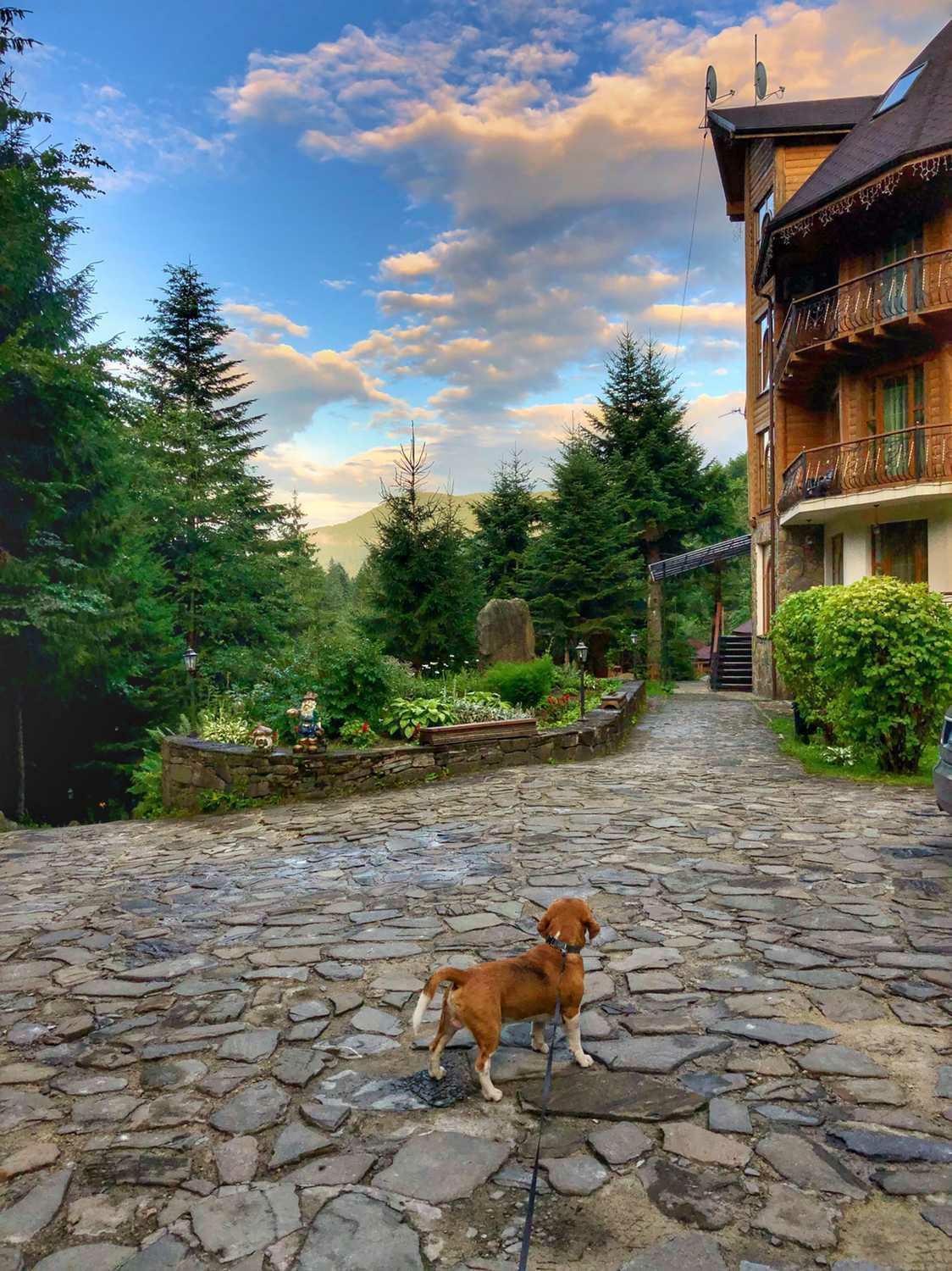 Hotel Dykyi Med Tatariv Bagian luar foto